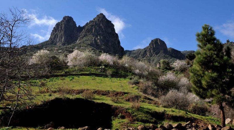 PAISAJE
