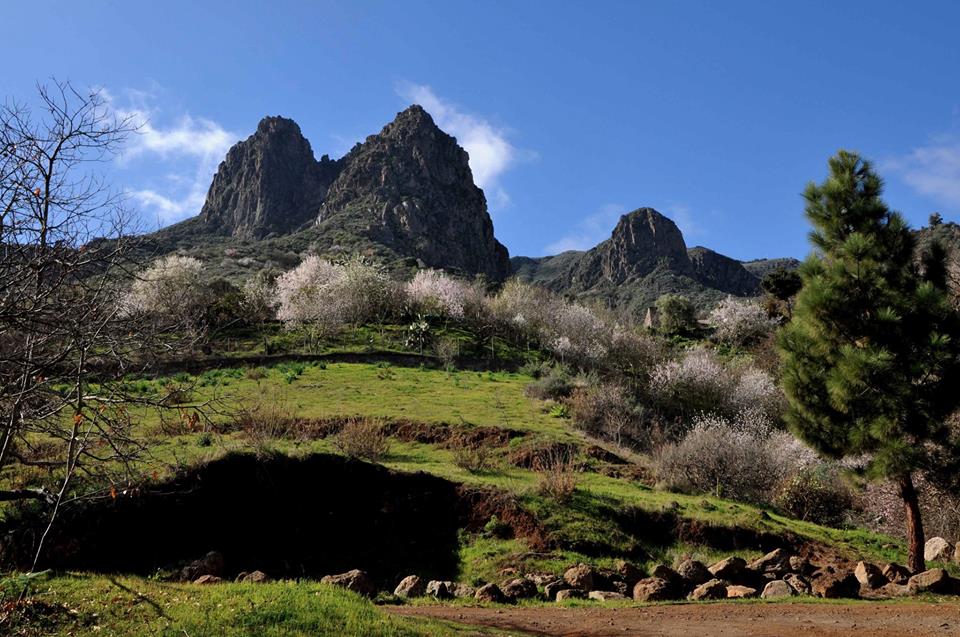PAISAJE