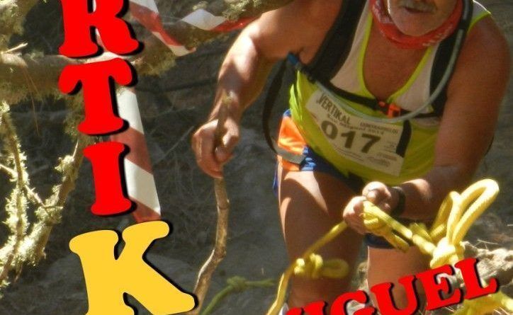 vertikal 2015