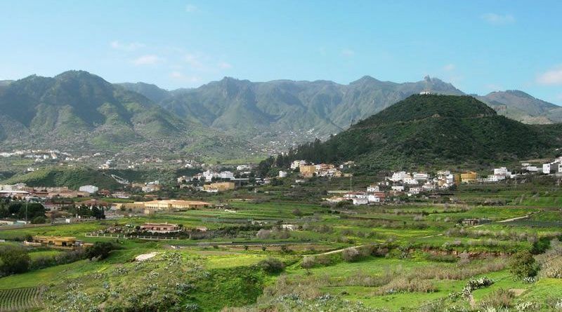 Helechal monta&ntilde;a