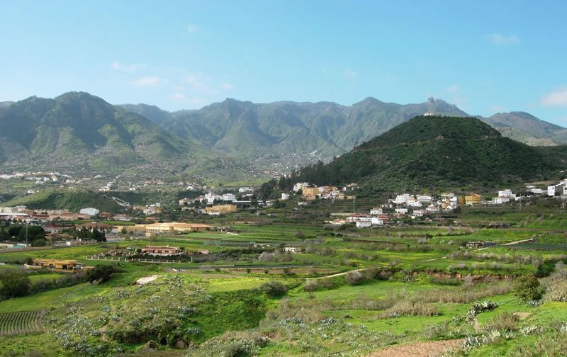 Helechal montaña