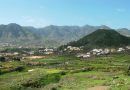 Helechal montaña