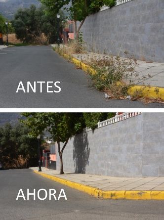 Comparativa Mirabala 06