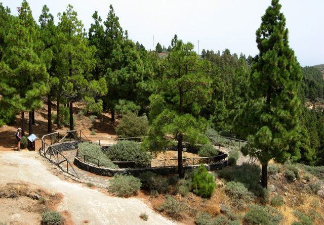 POZOS NIEVES 5