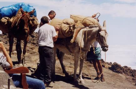 arrieros1