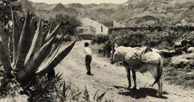 camino