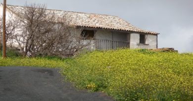 VIVIENDA