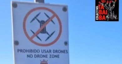 DRONES