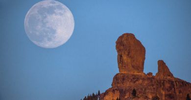 NUBLO