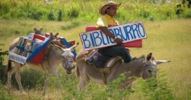 burro