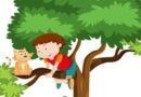 ARBOL