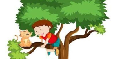 ARBOL