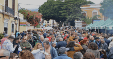 FIESTA