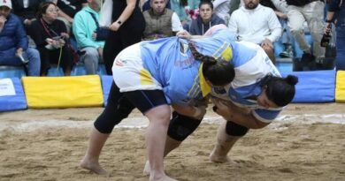 lucha