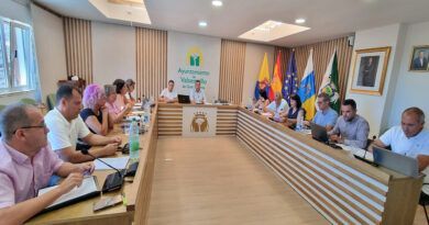 pleno