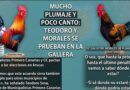 LOS DOS GALLOS DE LA GALLERA: TEOUNO Y MORALES