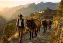 ARRIEROS DE MAR A CUMBRE