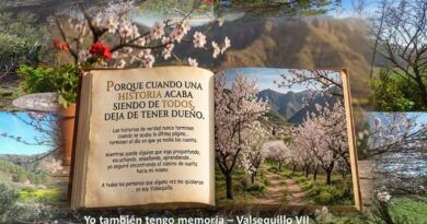 VII. LO &Uacute;NICO QUE DE VERDAD MERECE LA PENA