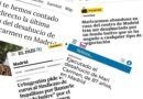 EL PERINQUÉ: LA CARTA QUE NADIE LEYÓ