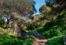 EL BARRANCO DE LOS CERNÍCALOS EN GRAVE PELIGRO