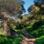 EL BARRANCO DE LOS CERNÍCALOS EN GRAVE PELIGRO
