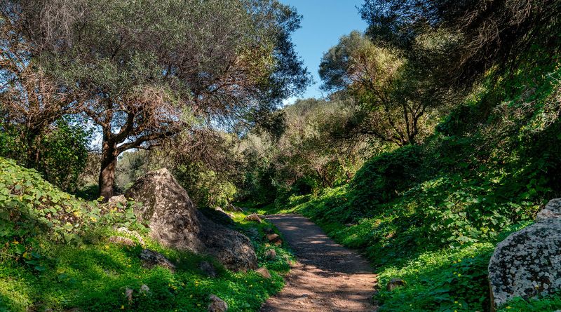 EL BARRANCO DE LOS CERNÍCALOS EN GRAVE PELIGRO