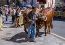 LA FERIA DE GANADO Y EL VERANILLO DE SAN MIGUEL