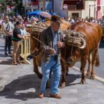 LA FERIA DE GANADO Y EL VERANILLO DE SAN MIGUEL