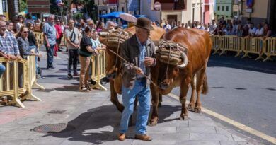 LA FERIA DE GANADO Y EL VERANILLO DE SAN MIGUEL
