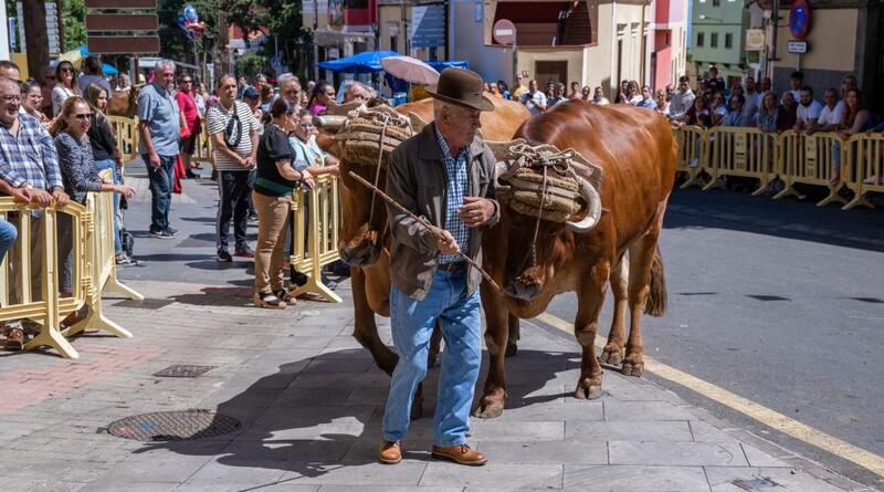 LA FERIA DE GANADO Y EL VERANILLO DE SAN MIGUEL