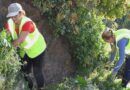 BALANCE POSITIVO DEL PROYECTO &ldquo;VALSEQUILLO EMPLEA 2025-2026&rdquo;