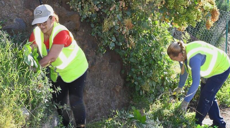 BALANCE POSITIVO DEL PROYECTO &ldquo;VALSEQUILLO EMPLEA 2025-2026&rdquo;