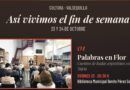 ASÍ SE VIVIÓ EL FIN DE SEMANA CULTURAL EN VALSEQUILLO