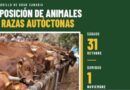 VALSEQUILLO: EXPOSICIÓN DE ANIMALES DE RAZAS AUTÓCTONAS
